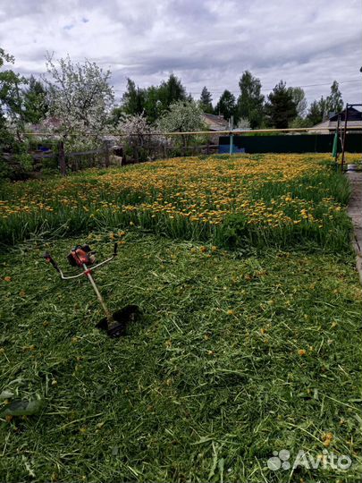 Покос травы триммером