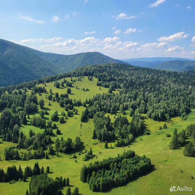 Ресторан, гостиница