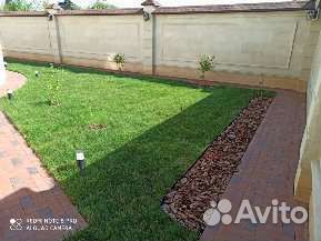 Рулонный газон под ключ
