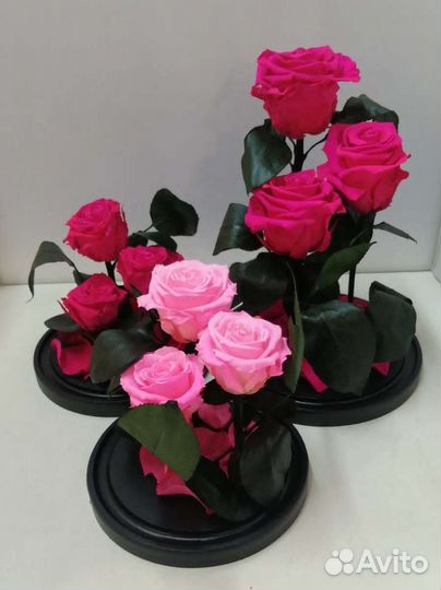 Цветы оптом