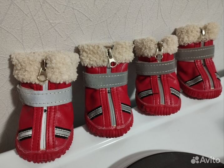 Обувь зимняя для собак