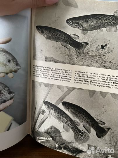 Книги о рыбоводстве охоте рыбалке рыбах