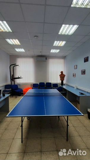 Стол для пинг понга