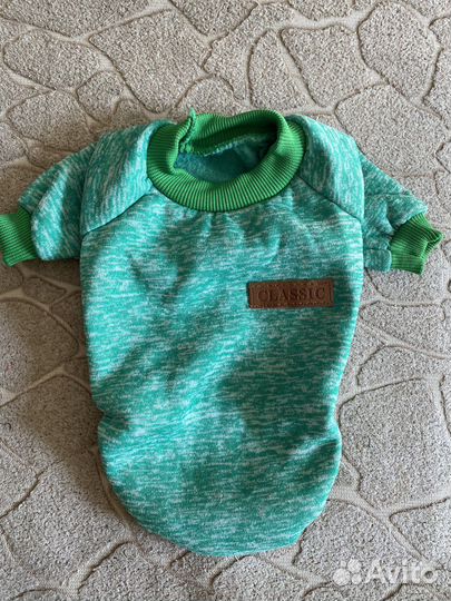 Одежда для животных