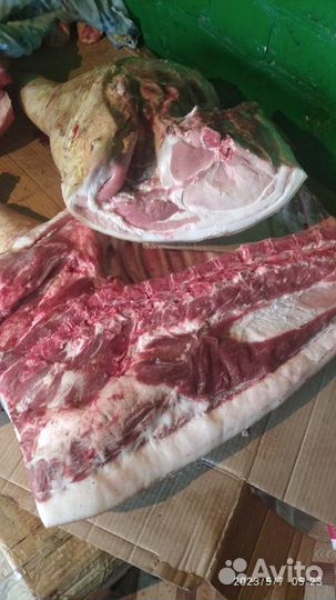 Мясо свинины.Туша, половинка, четверть с доставкой