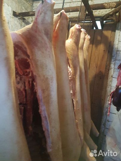 Мясо свинина в тушках