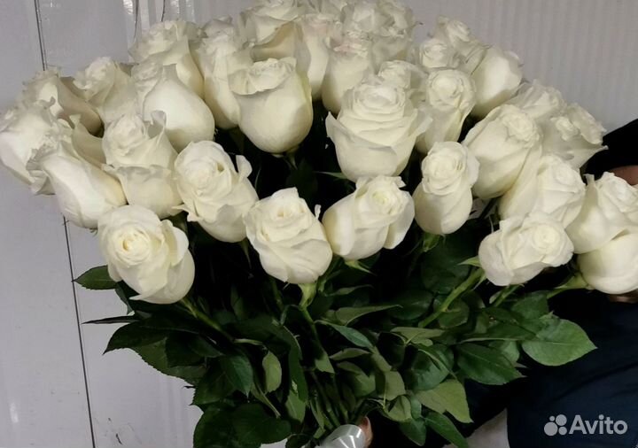 Розы букет цветов