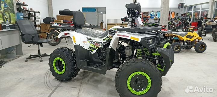 Квадроцикл Avantis H200 NEW Lux (баланс. вал) 2023