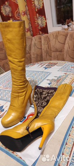 Сапоги осень весна женские