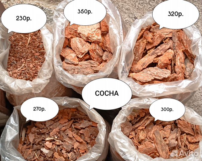 Алтайская кора сосны в наличии