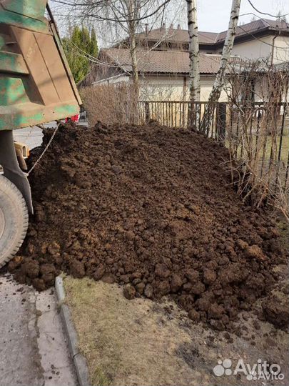 Навоз под смородину