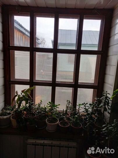 Продам деревянные окна