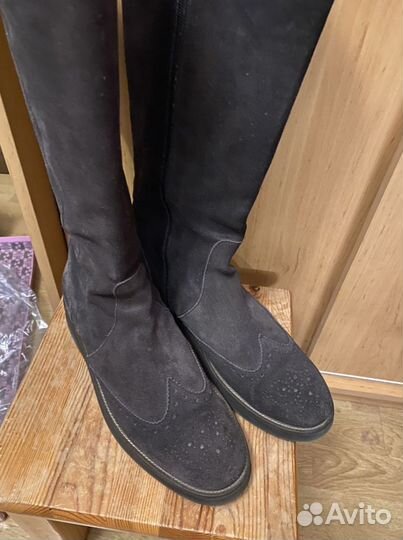 Carlo pazolini сапоги женские 39