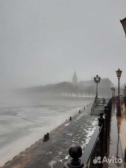 Экскурсии. Гид. Трансфер