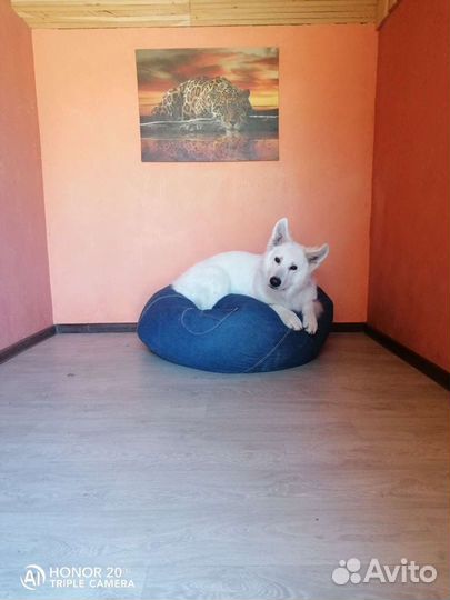 Зоогостиница Зоосфера