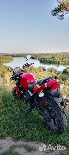 M1nsk c4 250cc