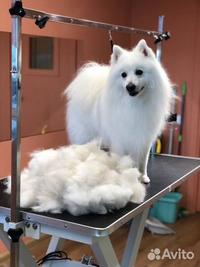 Груминг собак