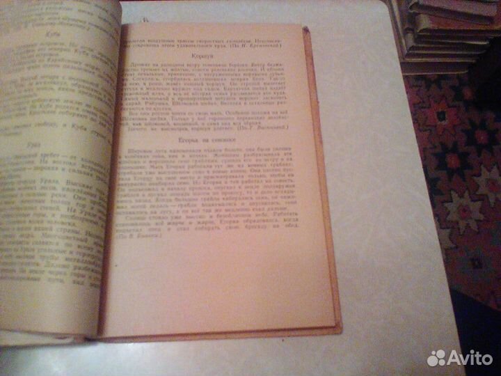 Тульчин.Материалы для грамматического разбора.1967