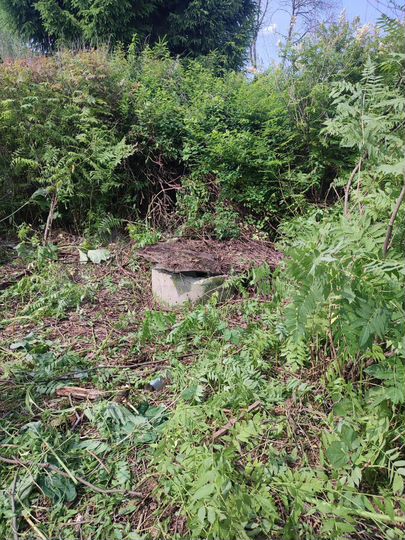 Дом 62,8 м² на участке 39 сот.