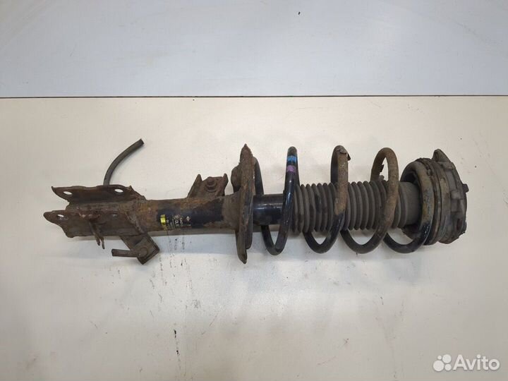 Амортизатор подвески Nissan Qashqai, 2010