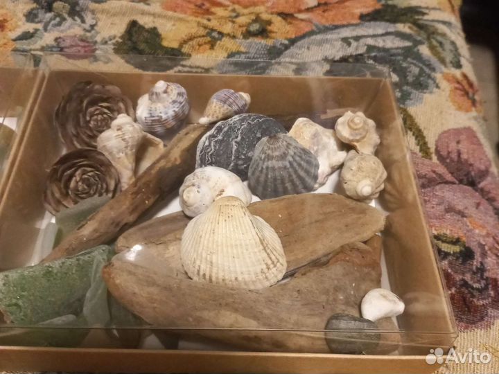 Набор для творчества из природных материалов