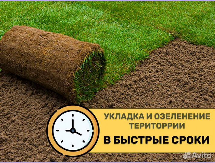 Рулонный газон с укладкой спортивный