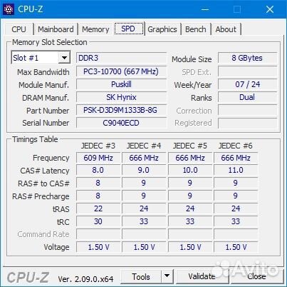 Puskill 8Gb DDR3 1333MHz