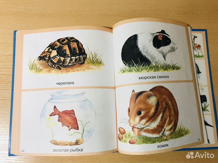 Животные - энциклопедия для малышей