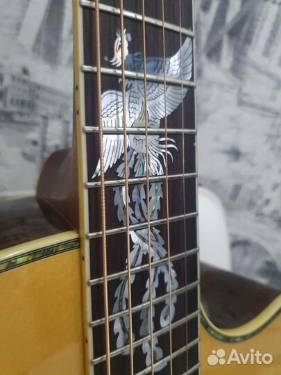 Эл. Акустика Crafter Pk-Rose 