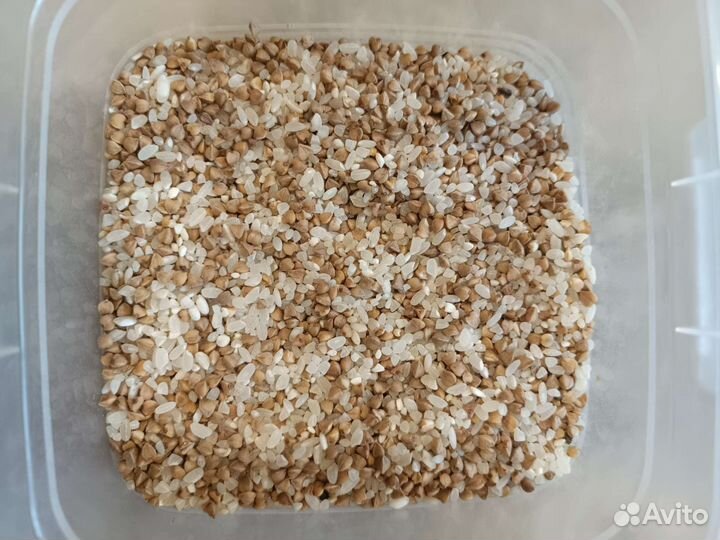 Консервы для собак