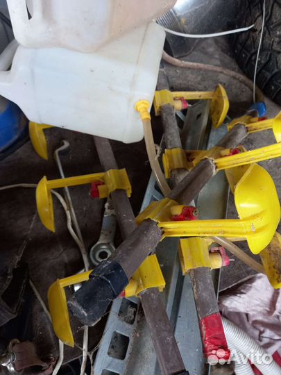 Перепелиные Клетка