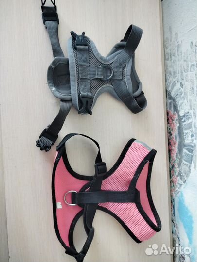 Шлейка для собаки