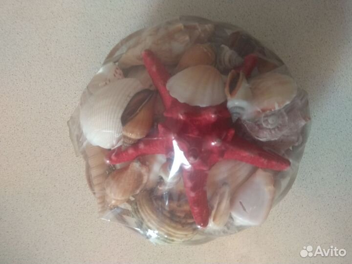 Раковины для аквариума / поделок