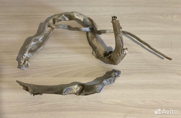 Коряги дрифтвуд