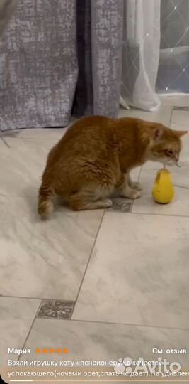 Игрушка доя кошек с кошачьей мятой