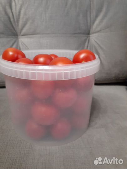 Помидоры домашние