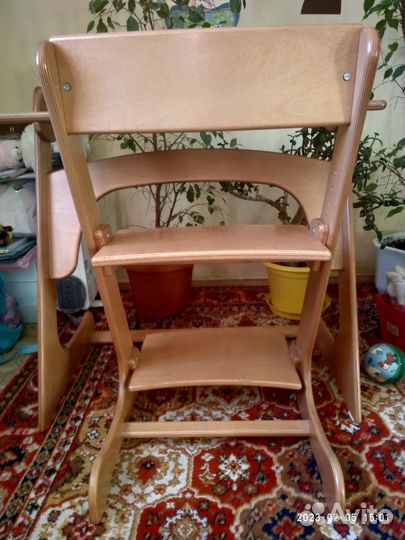 Растущий стул и парта(стол) Конек-горбунок+Полка