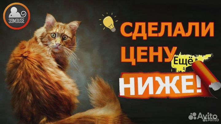 Нр Core i7/SSD240/8/новый Акб/15.6 full HD матовый