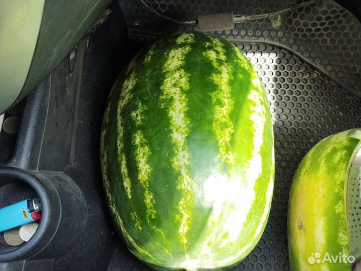 Арбузы