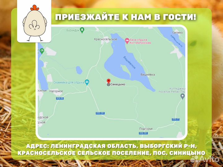 Комбикорм Мегакорм для несушек