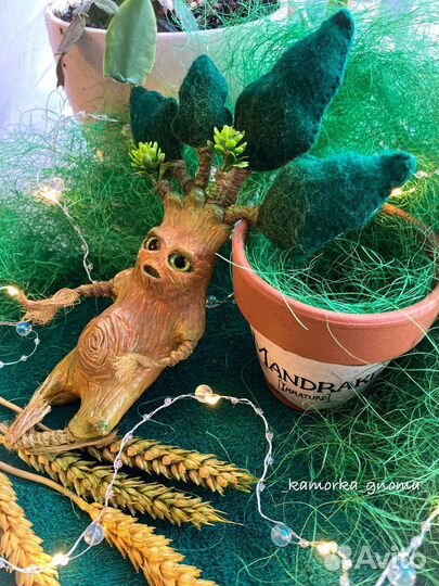 Мандрагога, сувенир, Гарри Поттер