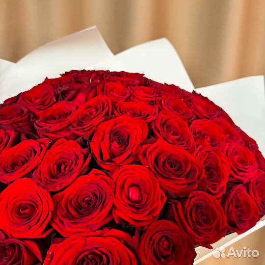 Цветы розы 101 51 21