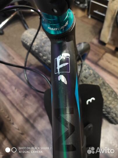 Велосипед Welt Fat Freedom 1.0 2019 Matt Black/Blu