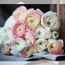 Цветы букеты ранункулюс