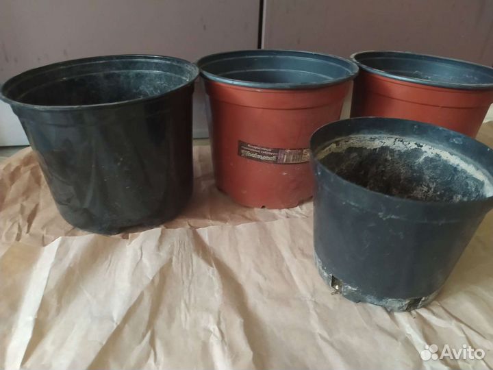 Горшки для комнатных растений