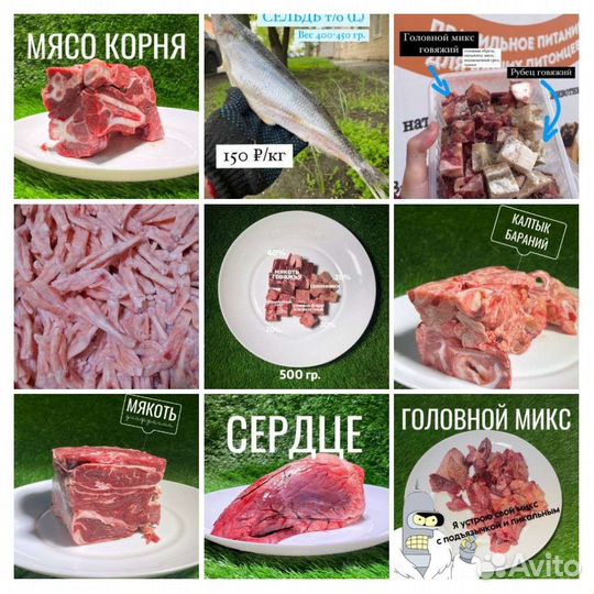 Мясо для собак и кошек