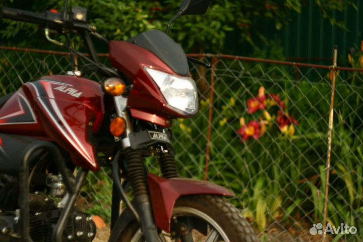 Мопед Альфа (новый 125куб)(Alpha ZS50-C 49,9куб)