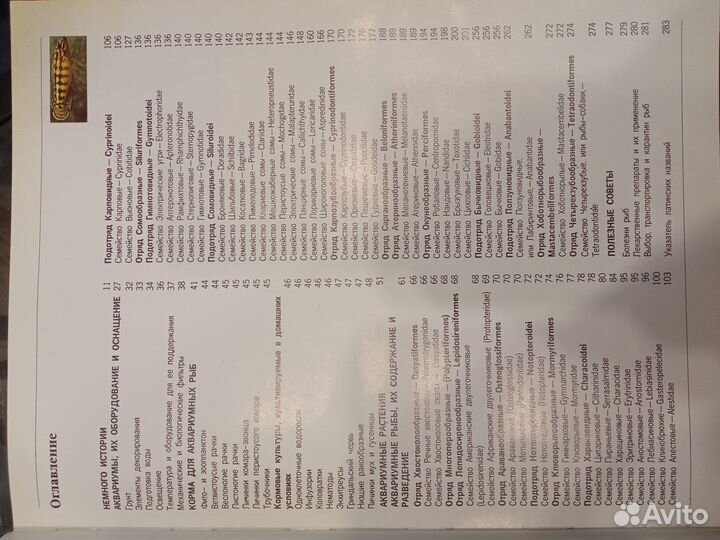 Волшебный мир аквариума