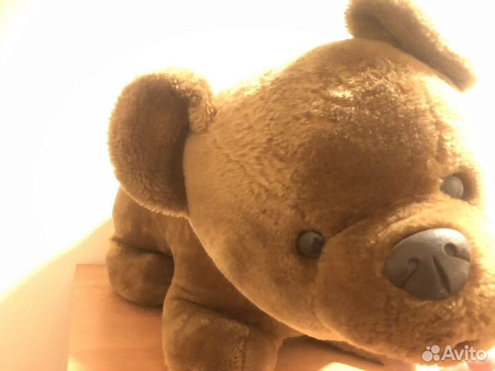 Плюшевый медведь