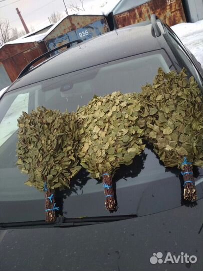 Веники для бани опт: берёза-100, дуб-150